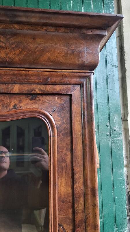 19th Century Walnut Library Display Cabinet with 1 Door