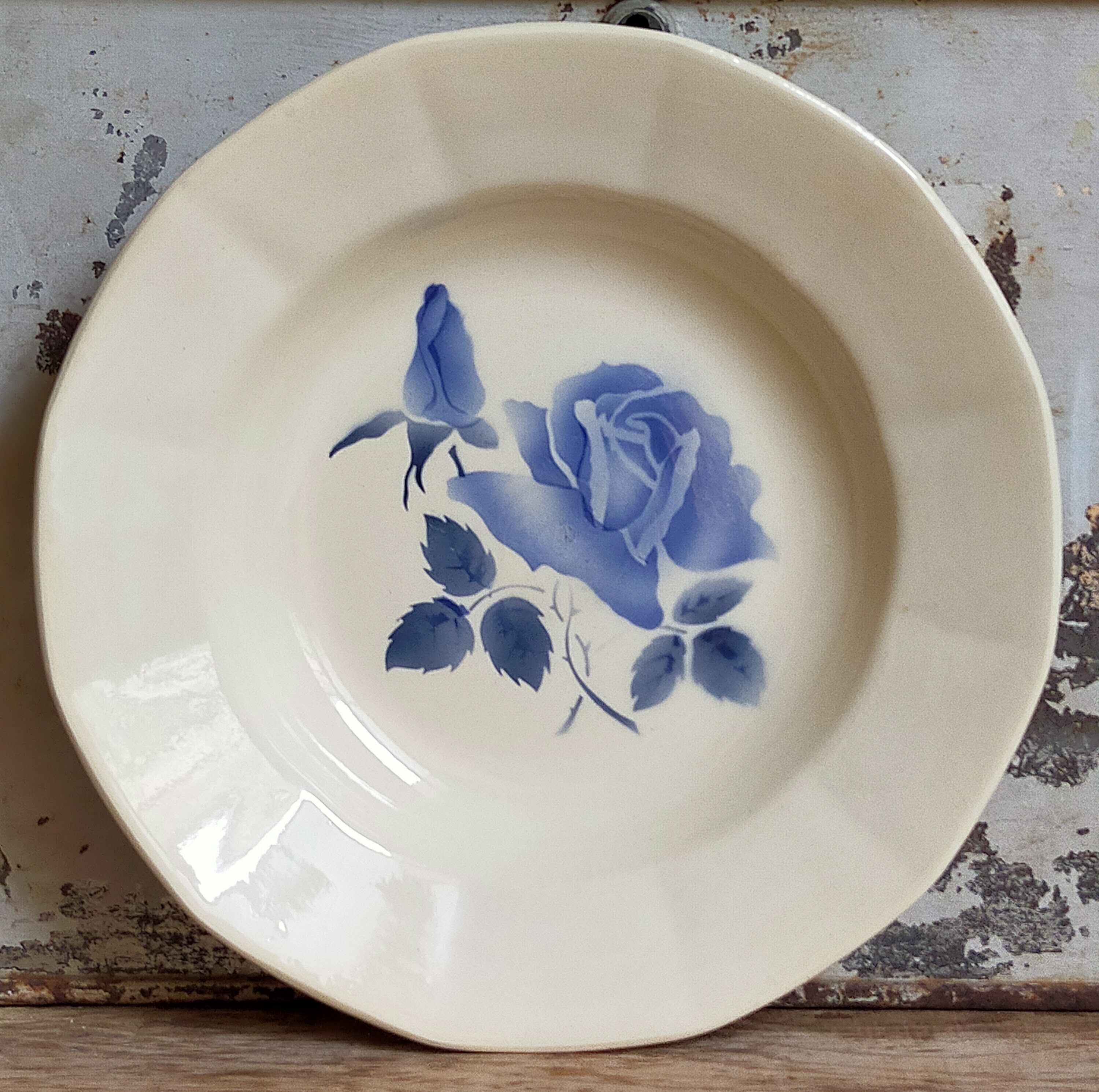 Six earthenware plates of Digoin and Sarreguemines 40s