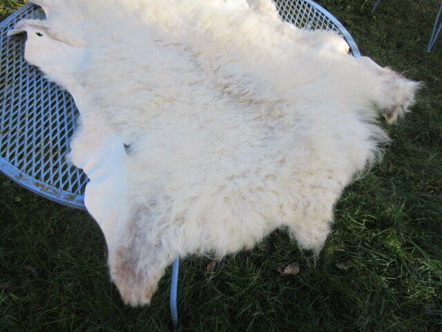 Sheepskin