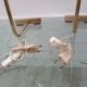 Paire de lampes contrepoids par Cedric Hartman 1960
