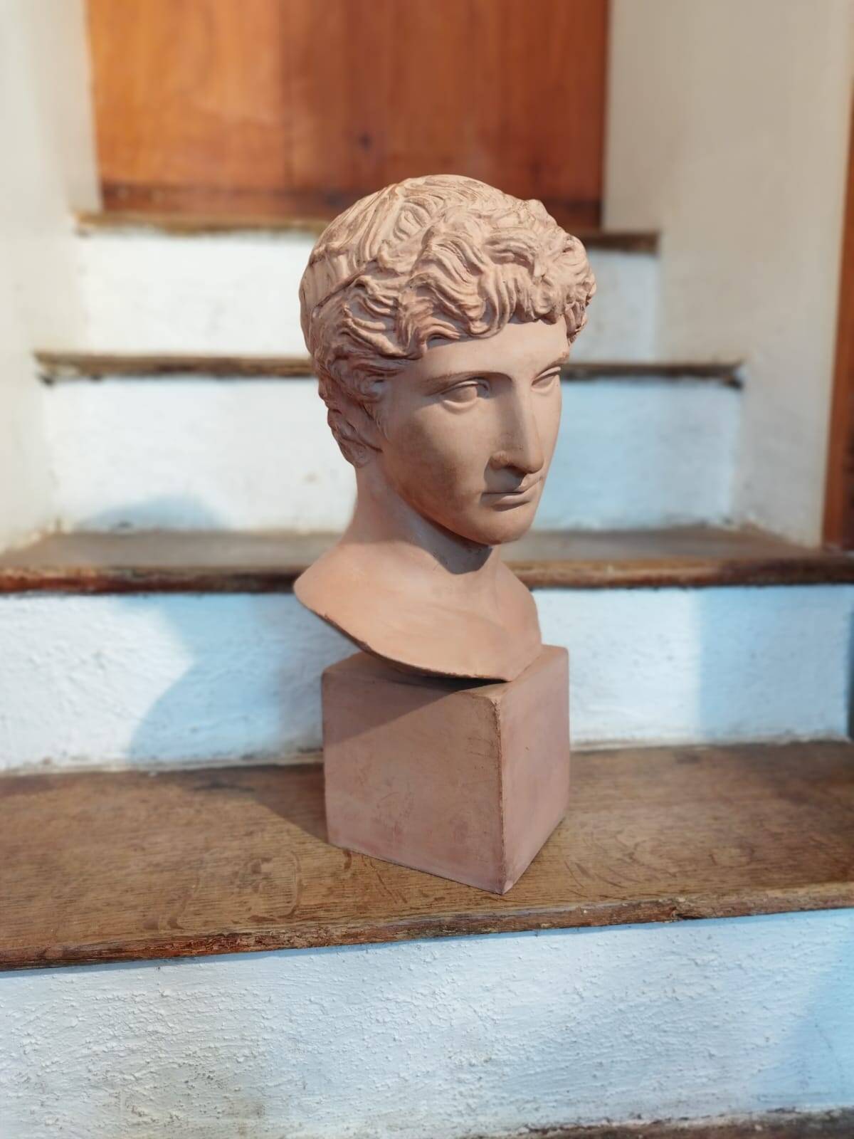 Antique terracotta bust