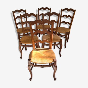 Lot 6 chairs