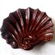 Shell cuts in roccoco earthenware