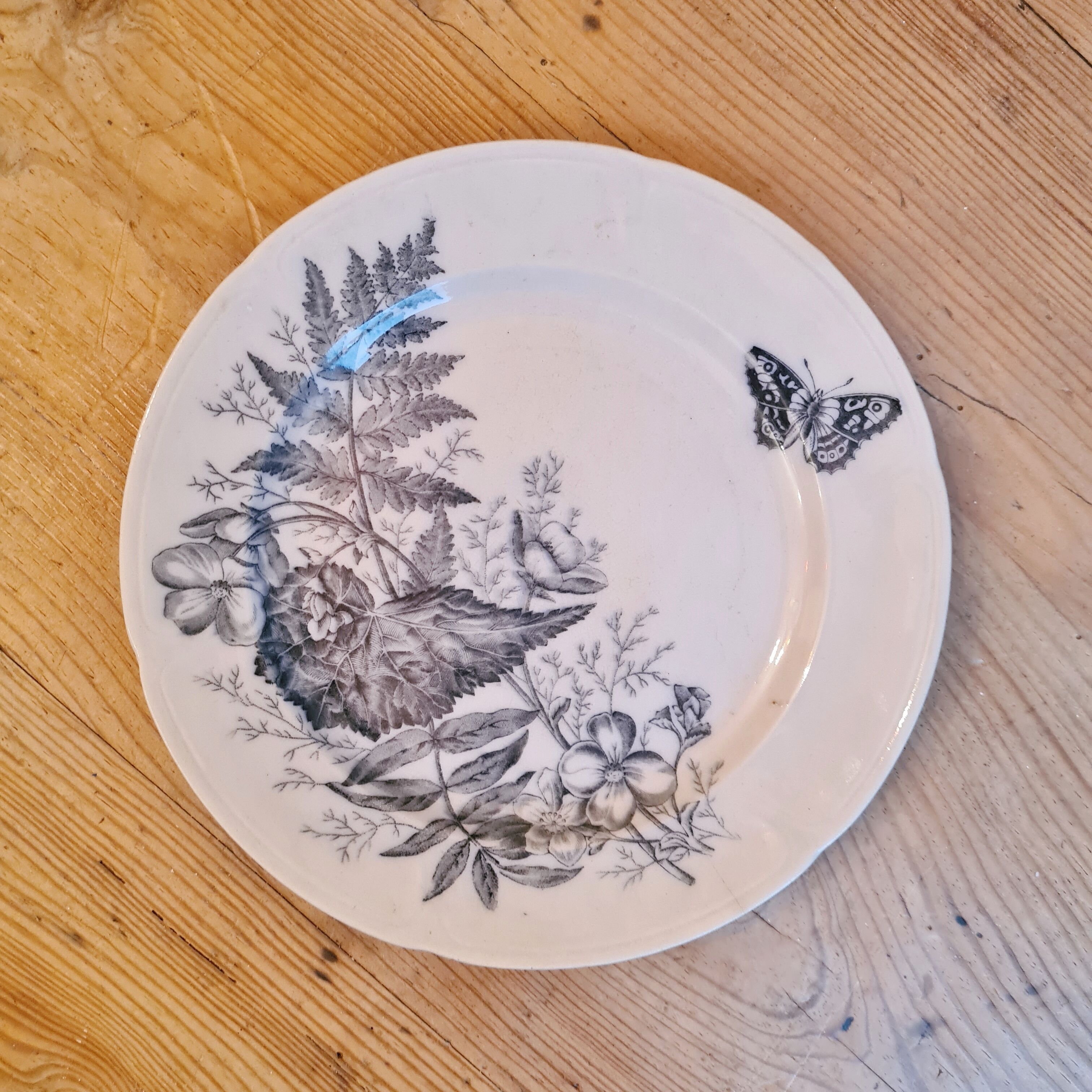 Rare plate iron earth sandeman mc dougall model fern (fern)