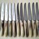 12 Couteaux de table Apollo acier inoxydable et corne bovine