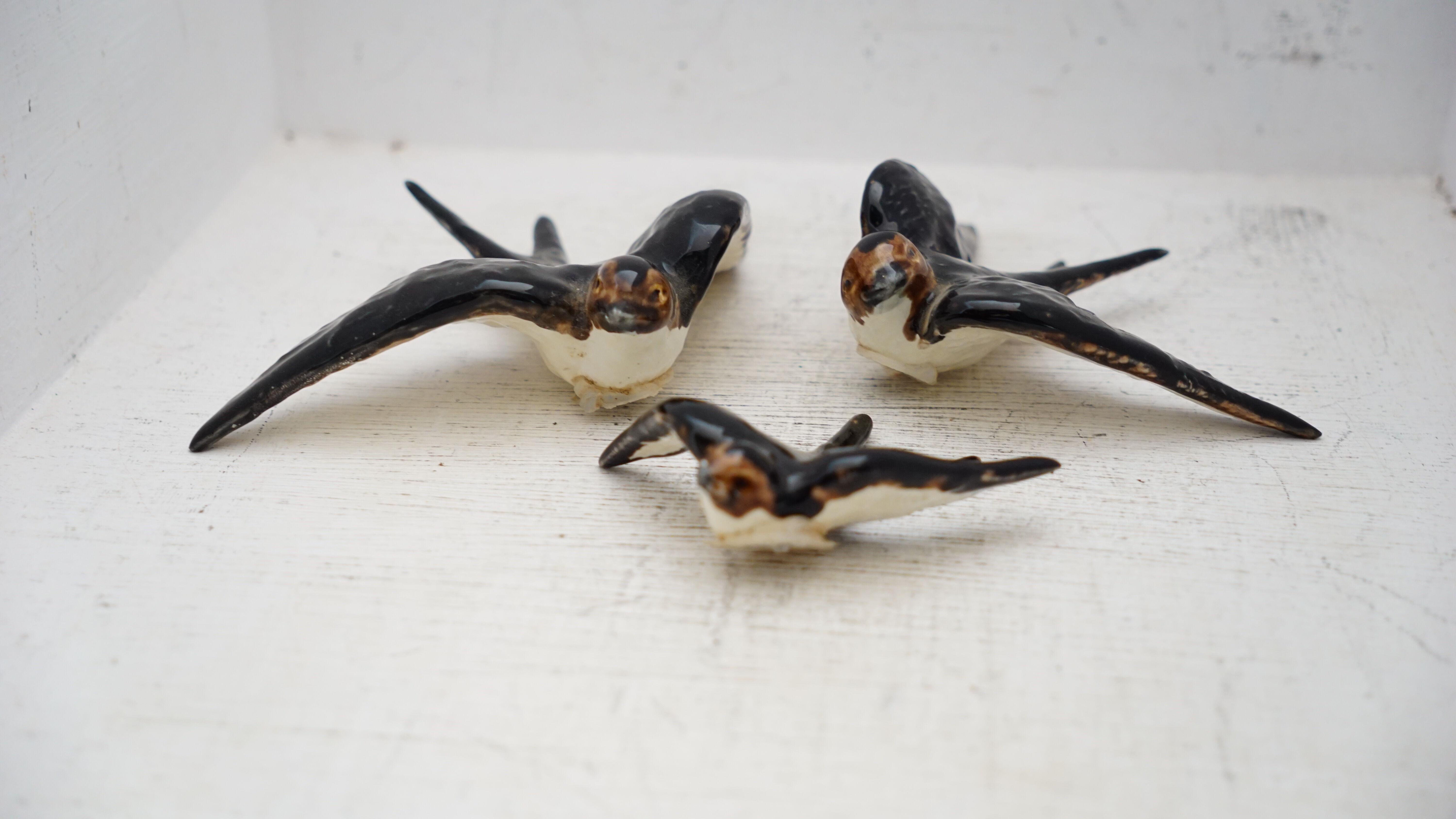 Hirondelles portugaises en céramique