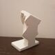 Plaster head