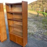 Pair of vintage glass shelves libraries
