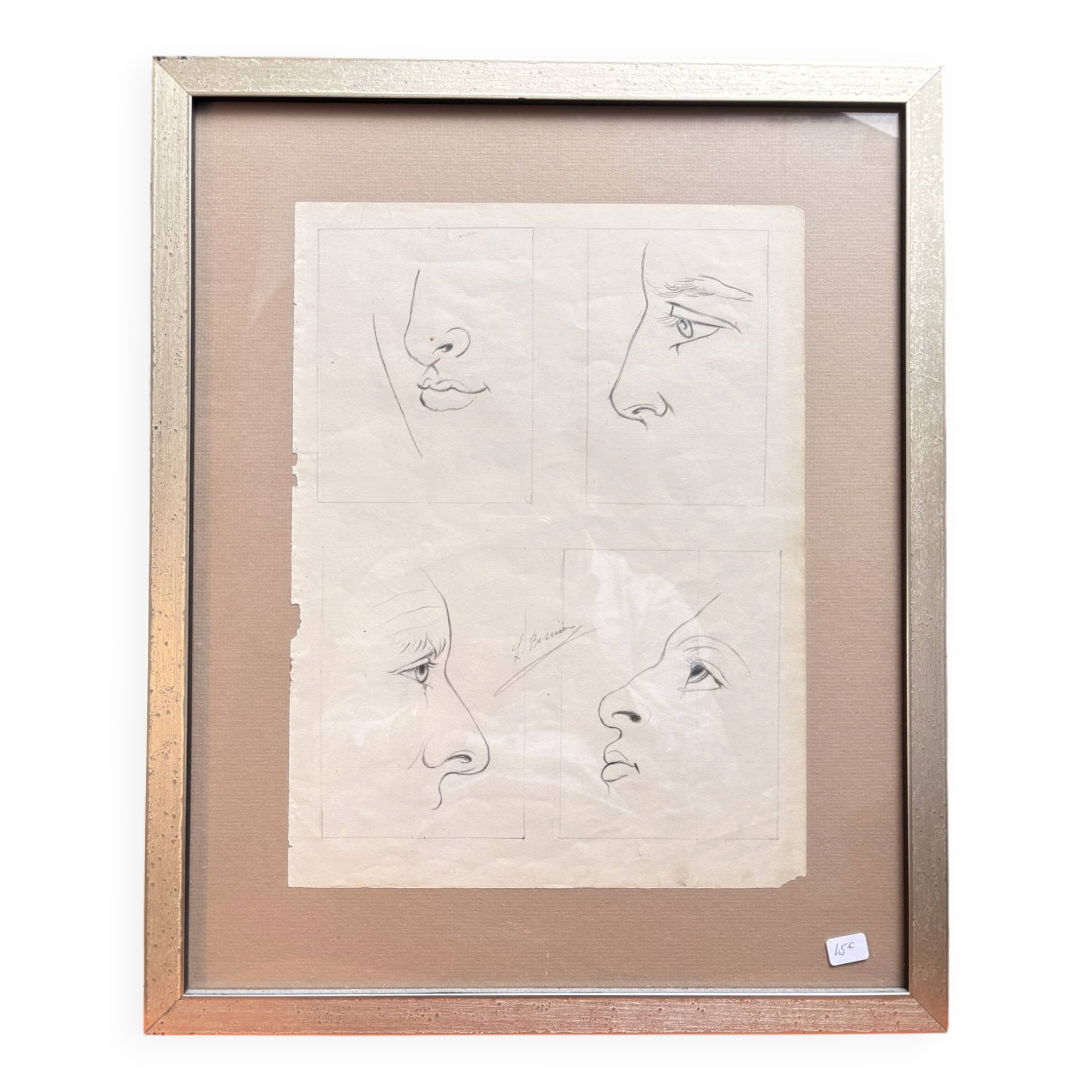 Old Engraving 19th Century Framed Anatomy Nose Mouth Plate Head Morphology