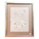 Old Engraving 19th Century Framed Anatomy Nose Mouth Plate Head Morphology