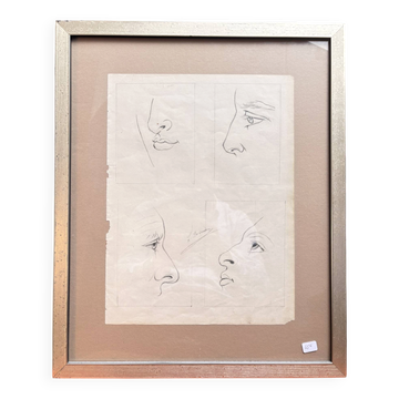 Old Engraving 19th Century Framed Anatomy Nose Mouth Plate Head Morphology