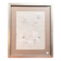Old Engraving 19th Century Framed Anatomy Nose Mouth Plate Head Morphology
