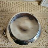 Silver-plated metal planter pot