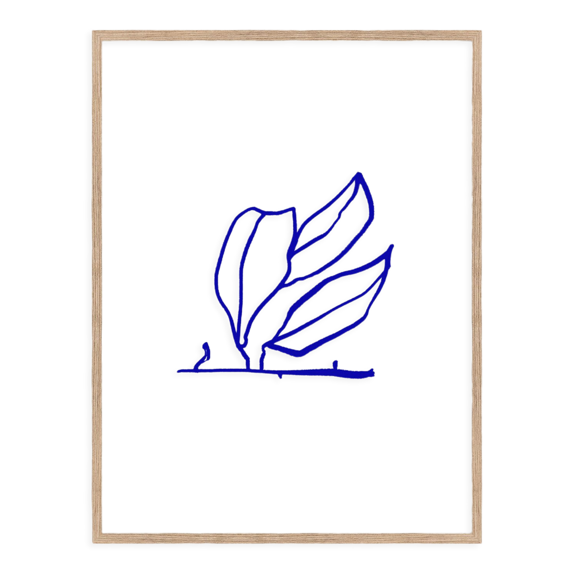 Botanical illustration giclee print, 50x70