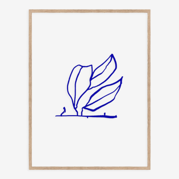 Illustration botanique giclée 50x70cm