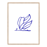 Botanical illustration giclee print, 50x70