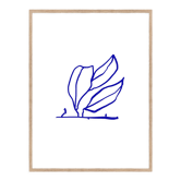 Illustration botanique giclée 50x70cm