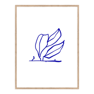 Botanical illustration giclee print, 50x70