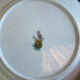 Winterling porcelain cake stand