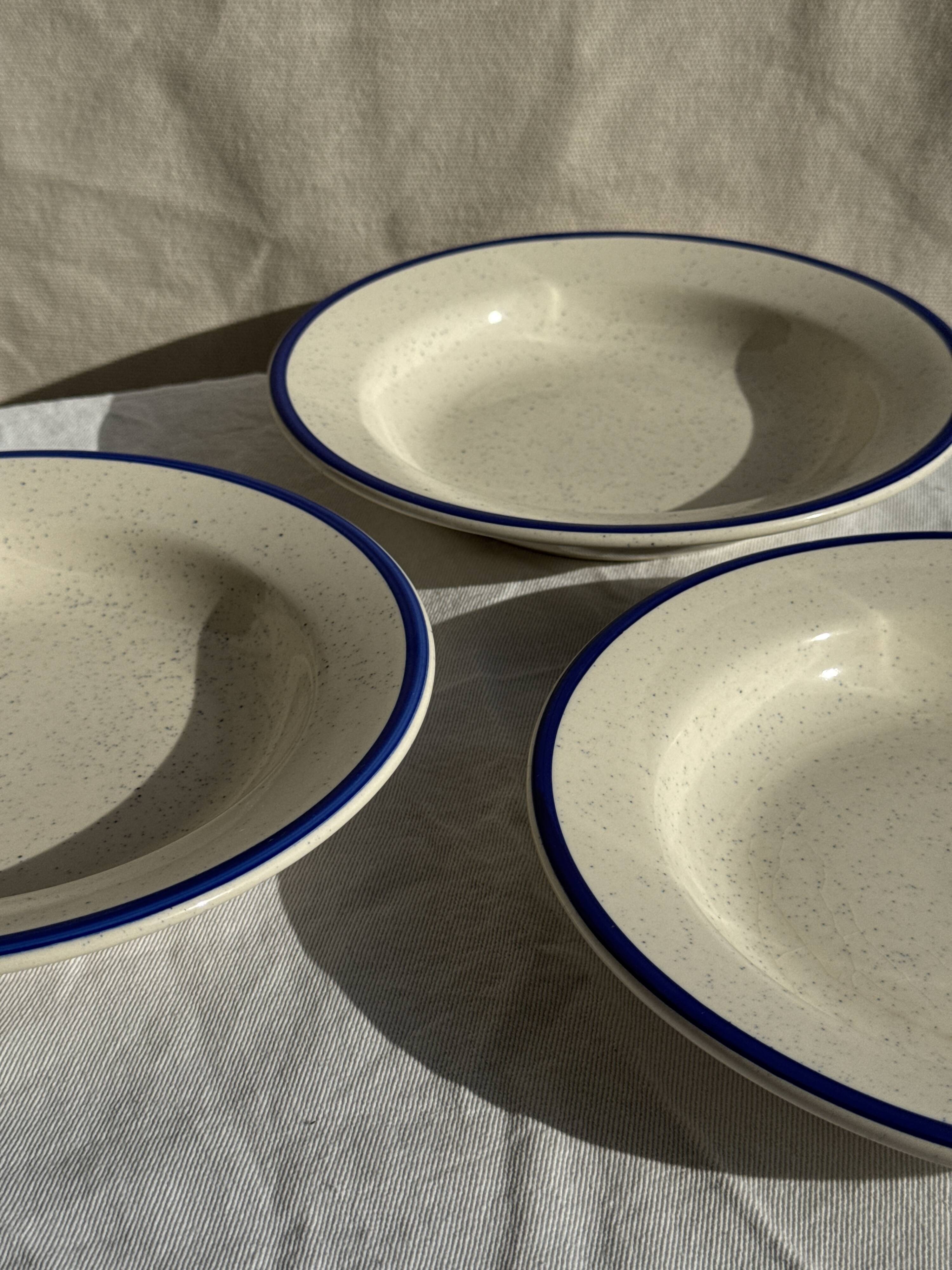 Set consisting of 6 beige flat plates with a blue rim + 3 deep plates.
