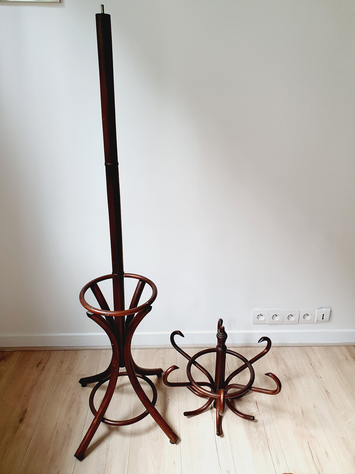 Parrot coat rack in curved wood