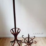Parrot coat rack in curved wood