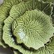 Lot of 3 flat Provencal earthenware Poet-Laval green leaves