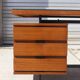 Office president by Pierre Guariche for Huchers Minvielle, France, 1950s