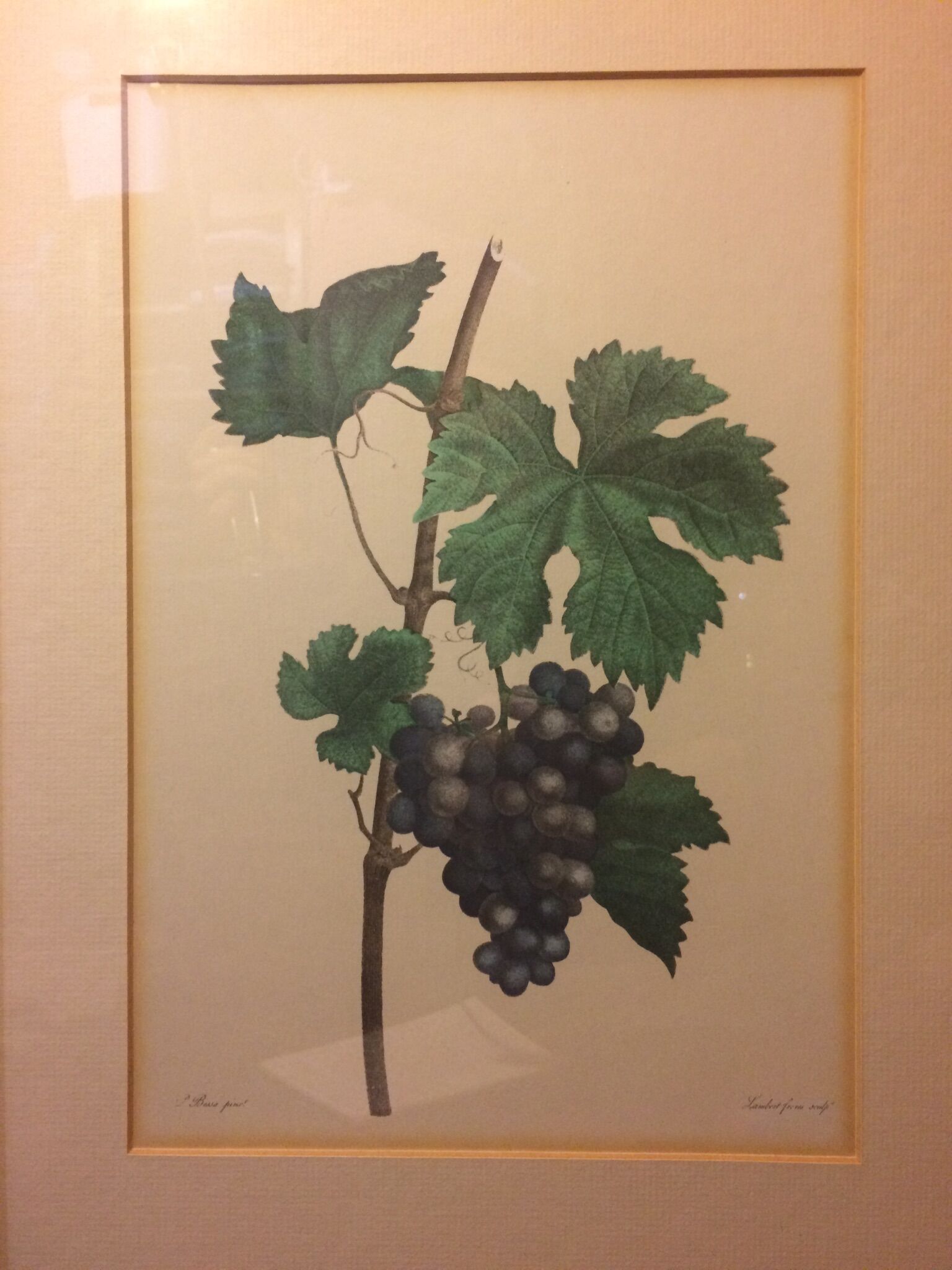 Former vignes botanical plank vintage green wood frame