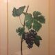 Former vignes botanical plank vintage green wood frame