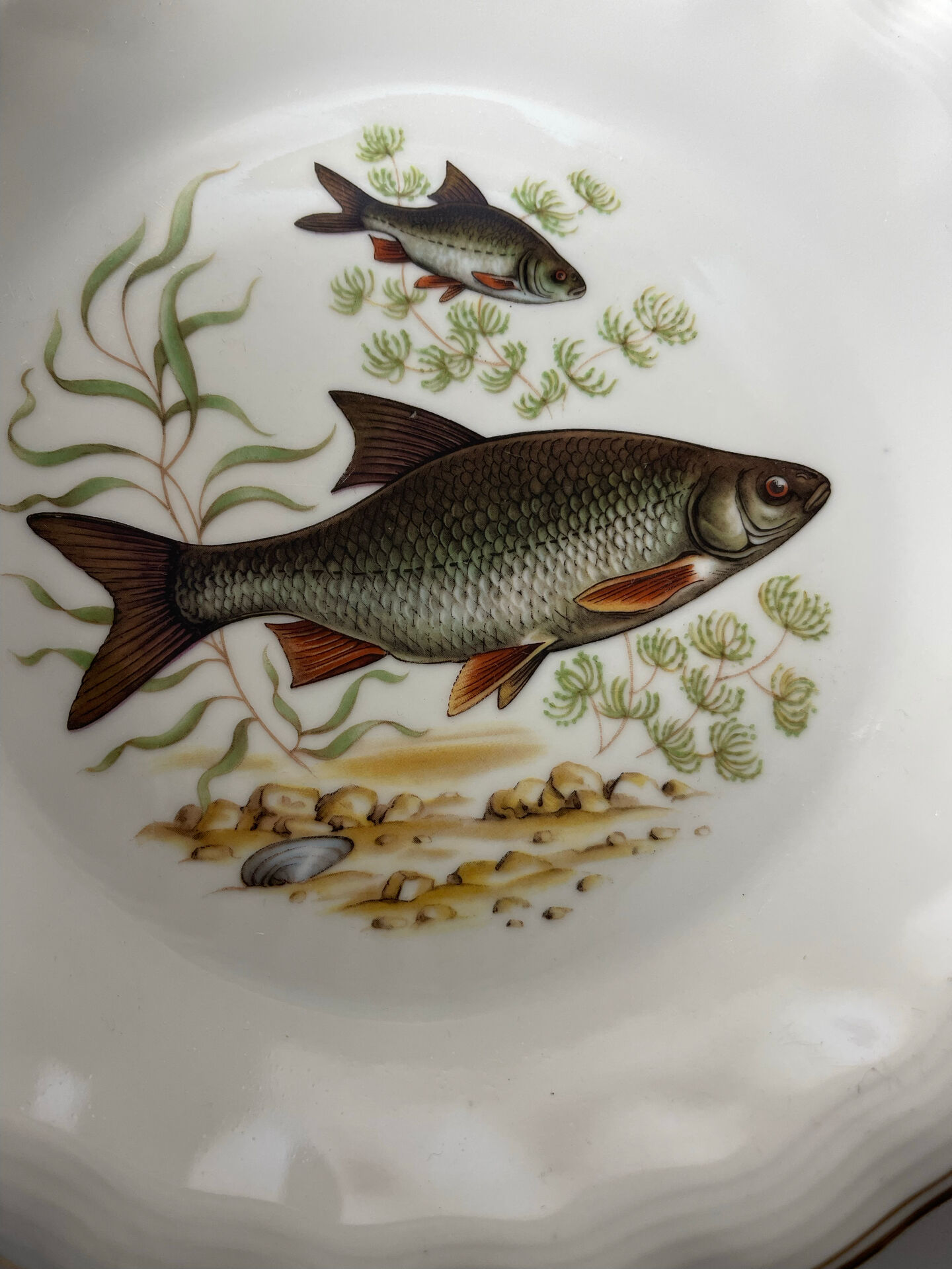 Fish plates in Limoges porcelain – Vintage service for 6