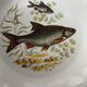Fish plates in Limoges porcelain – Vintage service for 6