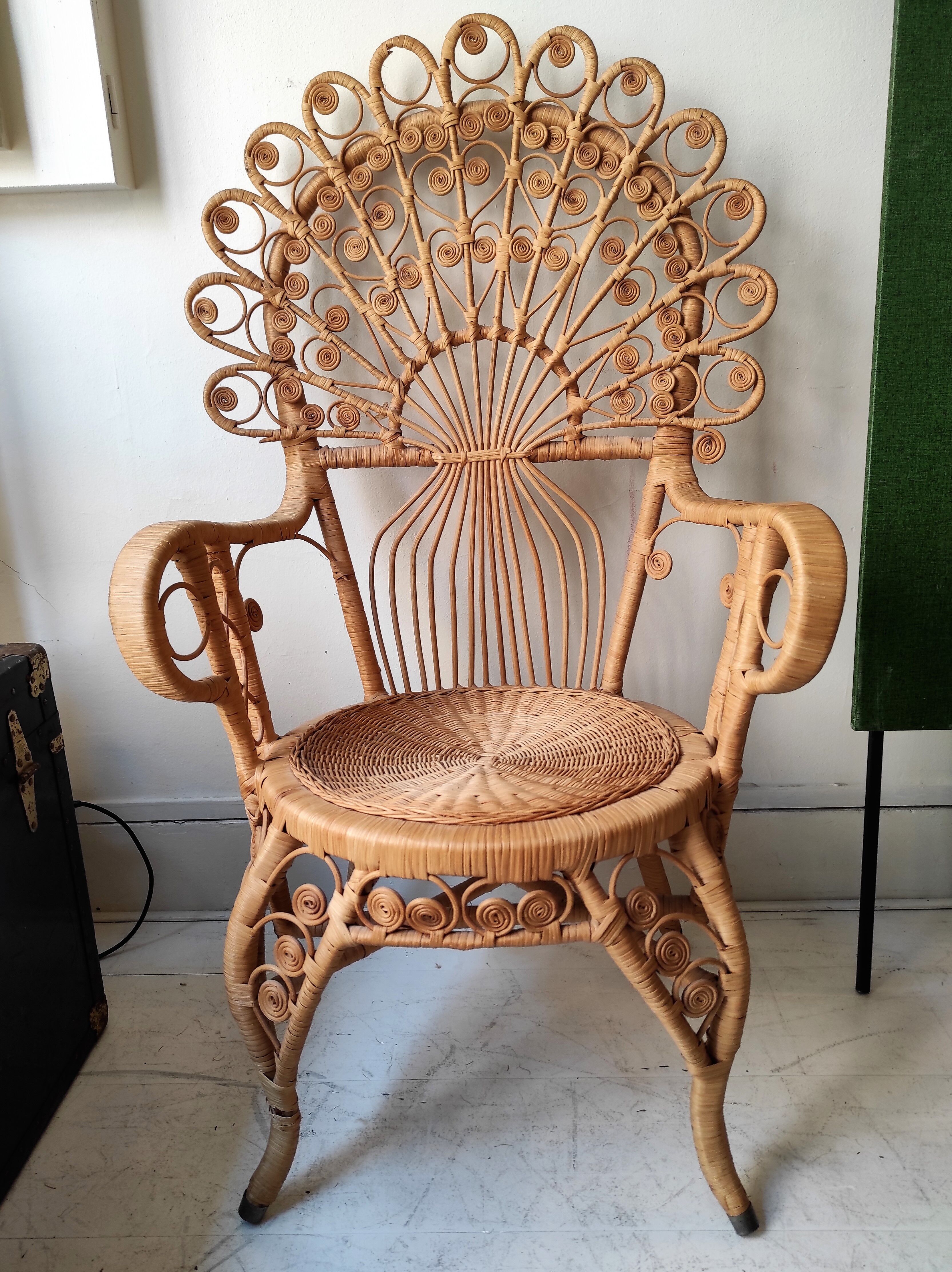 Peacock Chair