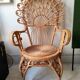 Peacock Chair