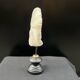 Antique natural white coral on a blackened wooden base, notebooks of curiosities