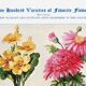 Poster about primroses, pyrethrums, castor beans and roses