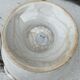 White soup bowl