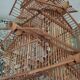 Cage artisanal en bois