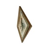 John Gould: Derby Parakeet Color Lithograph: Psittacula