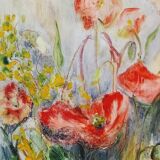 Field poppy