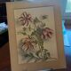 Watercolor flowers
