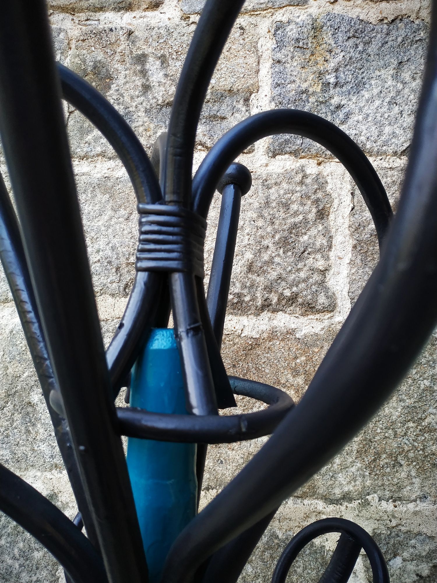 Painted parrot coats door