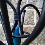 Painted parrot coats door