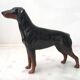 John Beswick porcelain dog