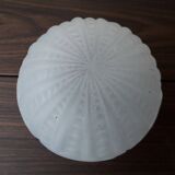 Globe lampshade