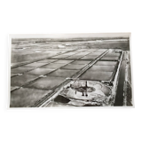 Aerial photo Lapie year 1950