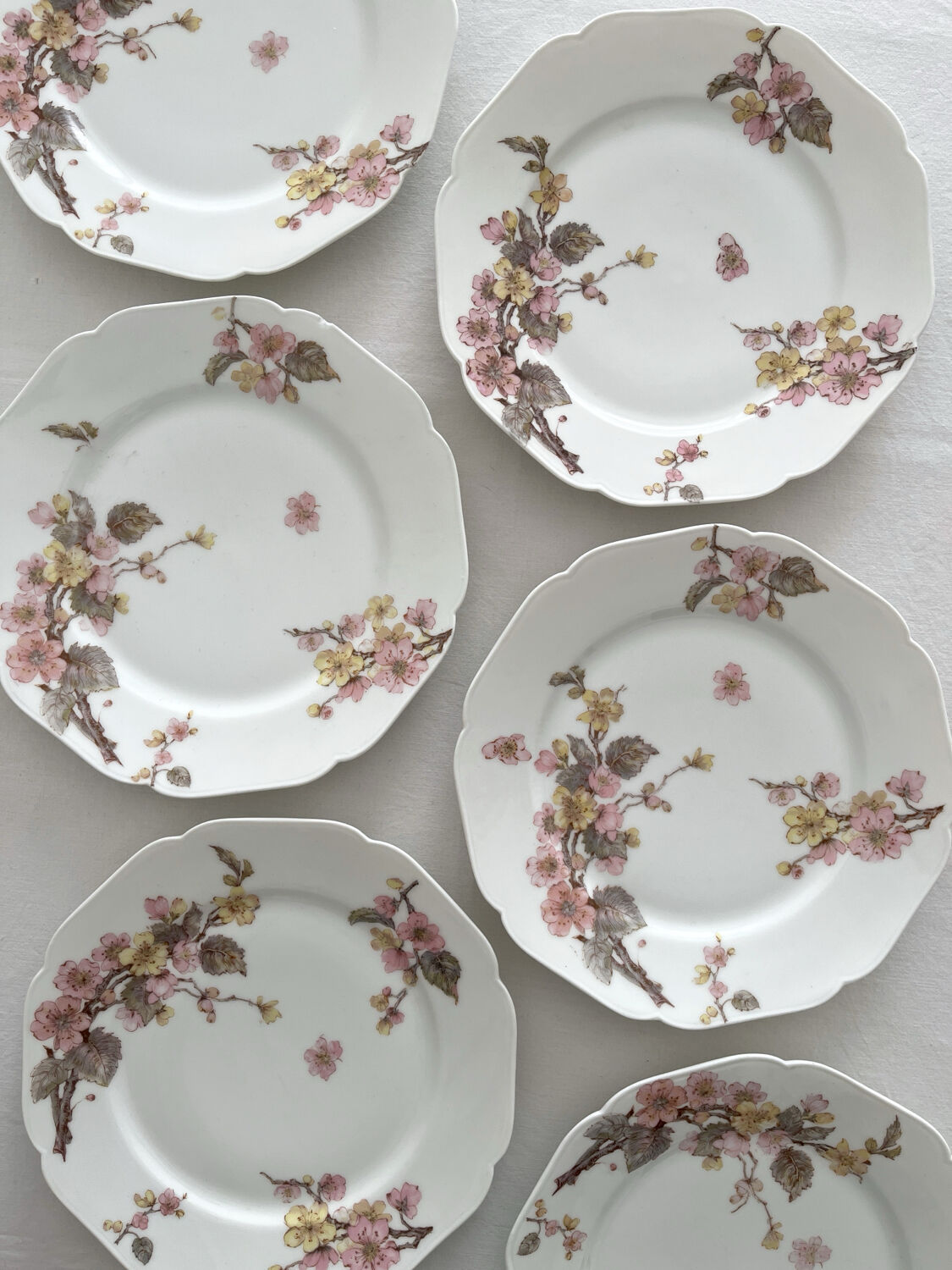 6 antique dessert plates in Limoges porcelain by Haviland & Co.