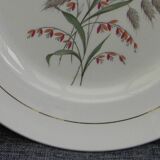 Lot de 6 assiettes plates en faïence de saint amand. modèle beauce.