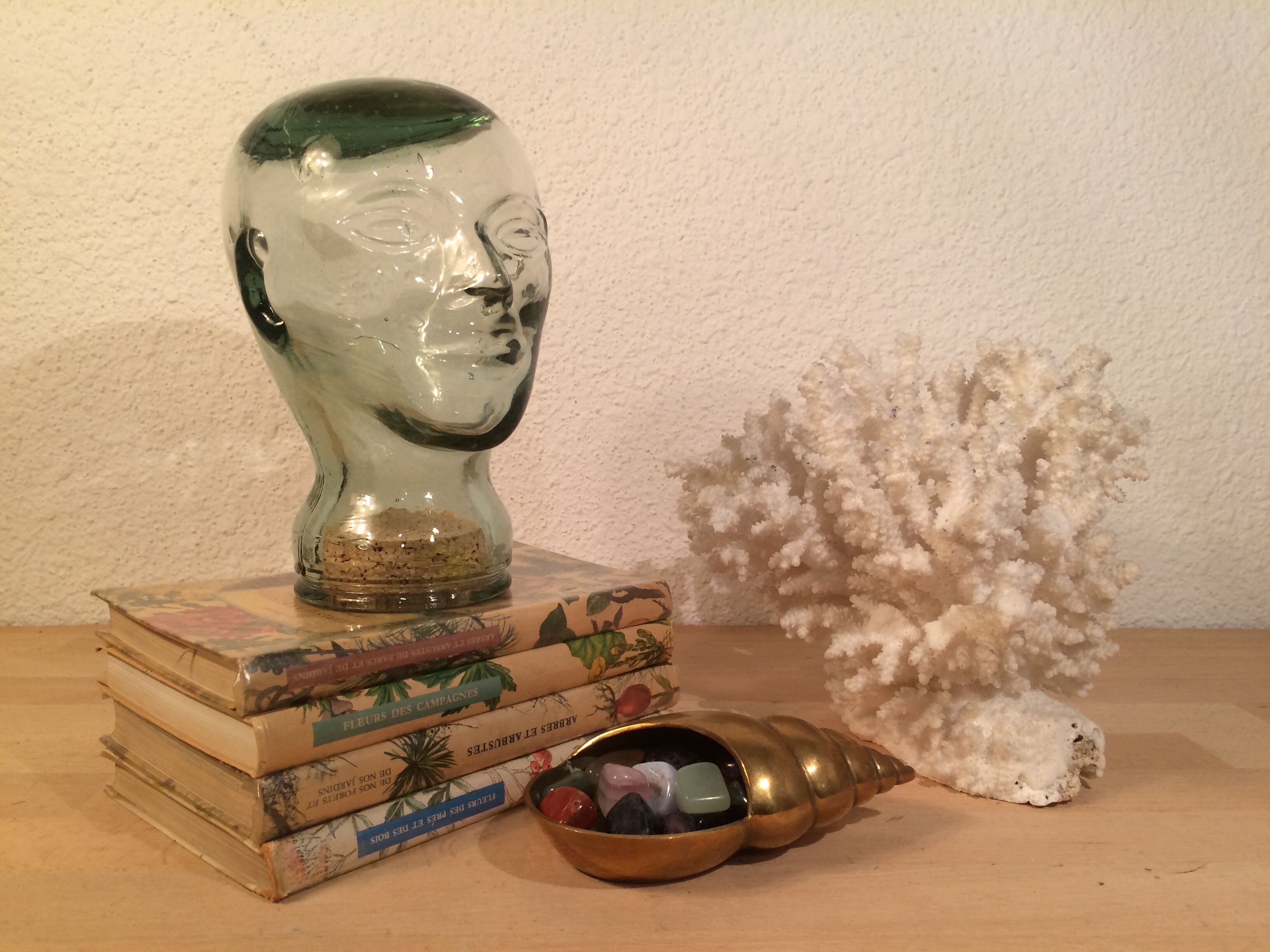 Molded glass head curiosity cabinet