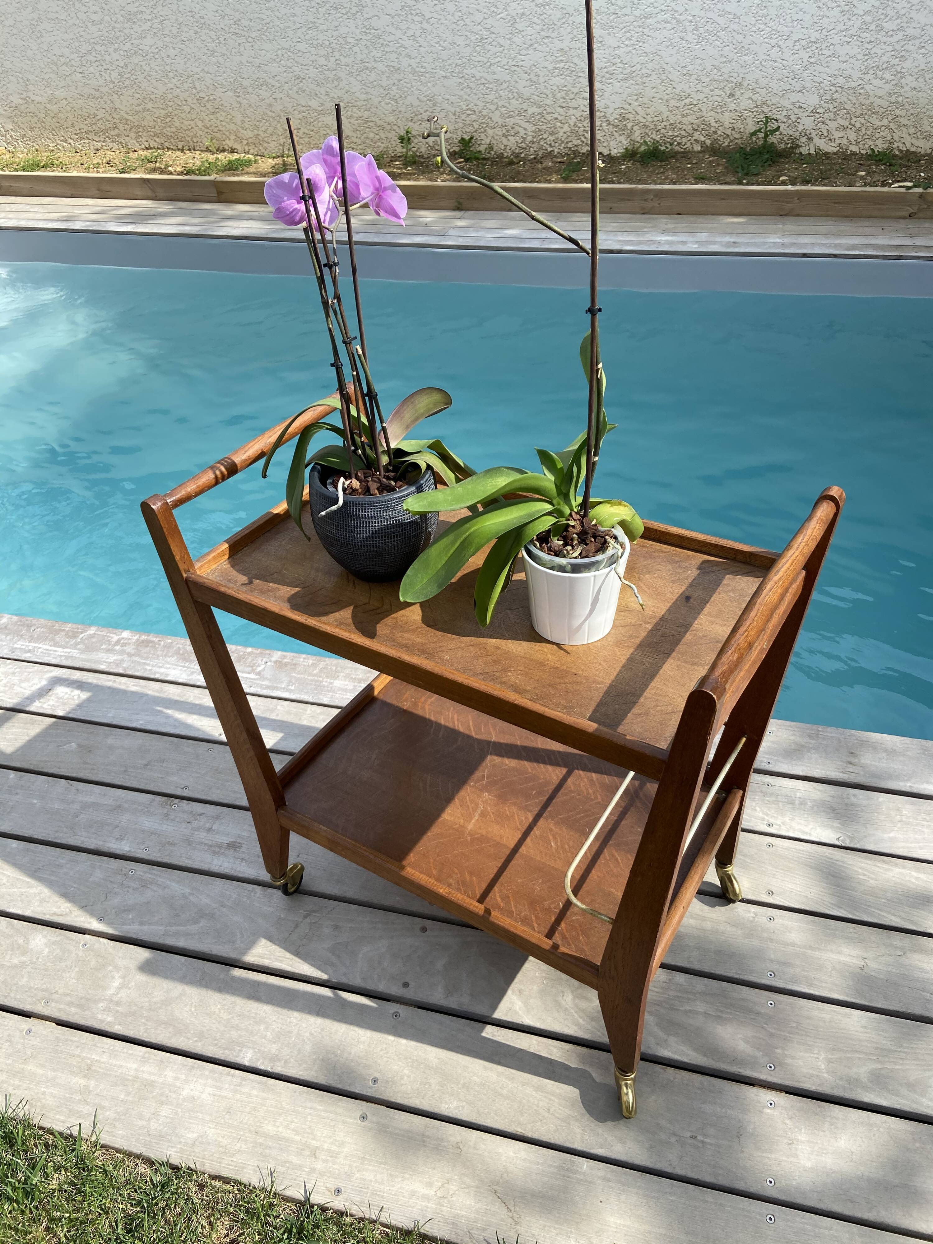 Scandinavian vintage teak dessert